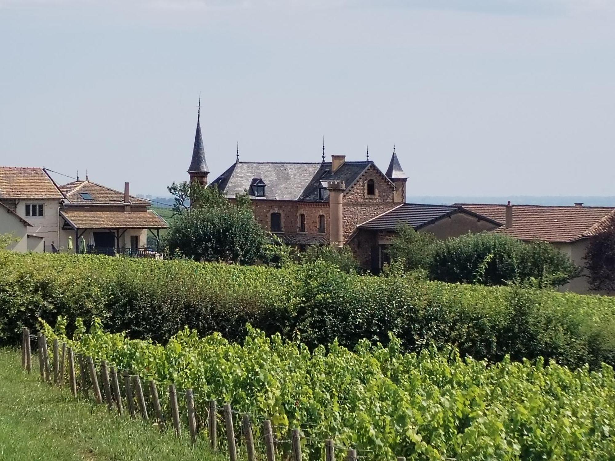 Le Petit Chateau De Sathonat - Horizon Paradis Saint-Amour-Bellevue Exterior photo